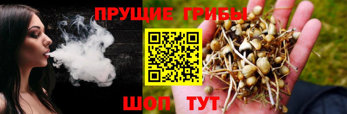Псилоцибиновые грибы ЛСД Екатеринбург
